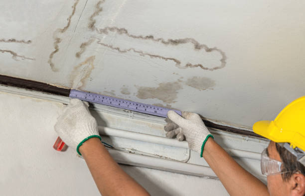 Affordable Water Damage Repair solutions in Proctor, WV